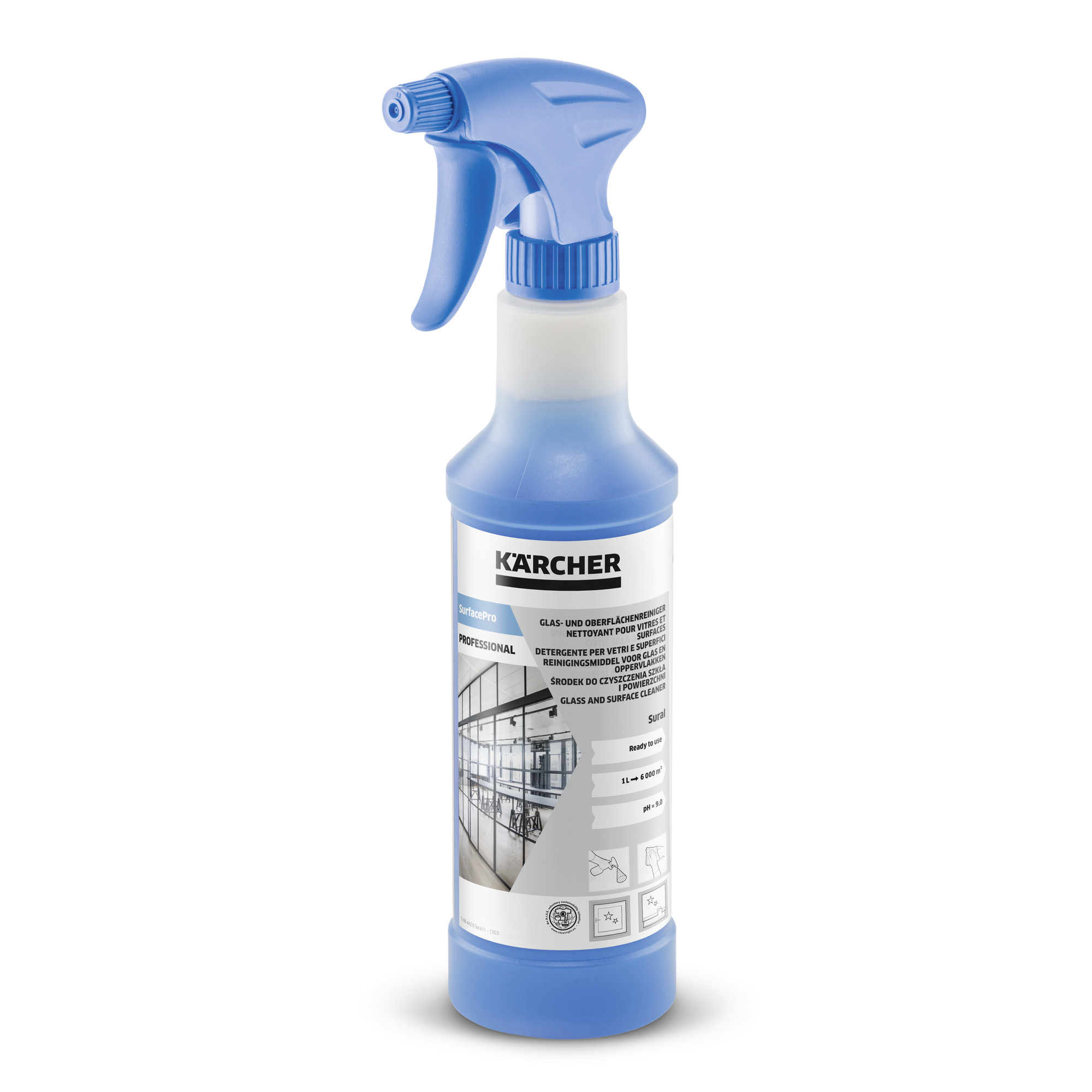Kaercher SurfacePro Sural Glass and Surface Cleaner